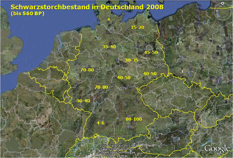Verbreitung innerhalb von Deutschland