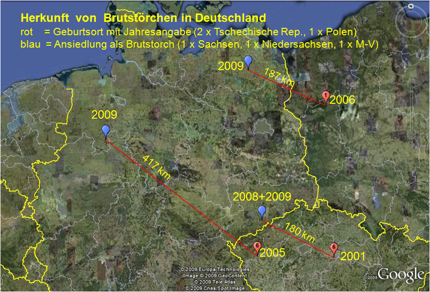 Ansiedlung